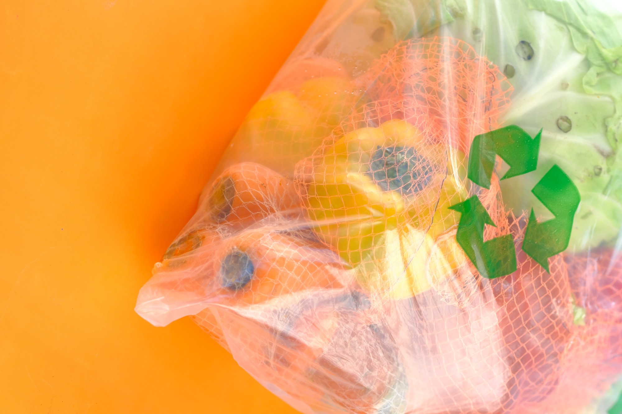 Come valutare se un imballaggio è davvero ecologico? 5 criteri