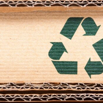 imballaggio in cartone compostabile riciclo